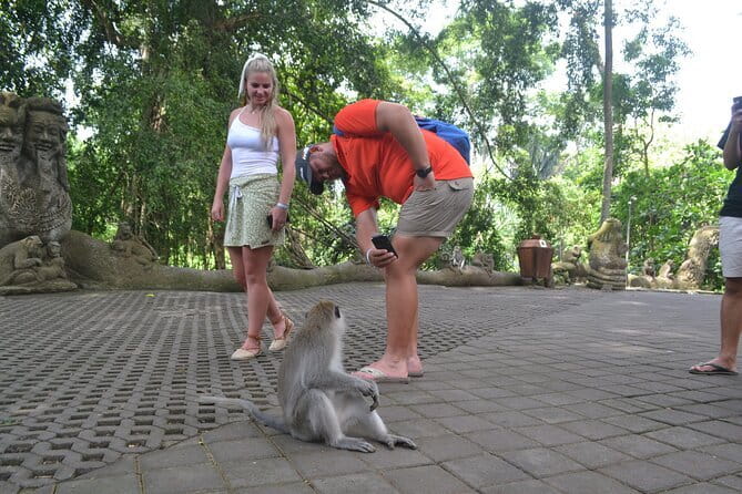Private Bali Customized Tours - How to Choose Your Stops Without Overstuffing the Day