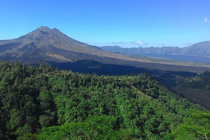 Private Bali Customized Tours - Price and Logistics: What You’re Really Buying