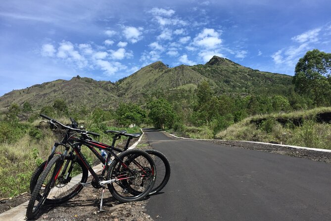 Private Bali Day Tour - Tegalalang - Kintamani and Temple Tour - Tegalalang Rice Terraces: The Best Kind of Late Afternoon Timing