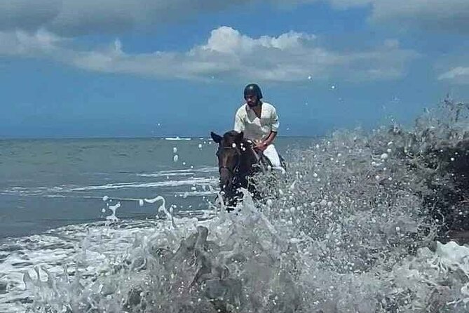 Private Bali Horse riding at saba beach - Price and Value: Is $43.79 a Good Deal?