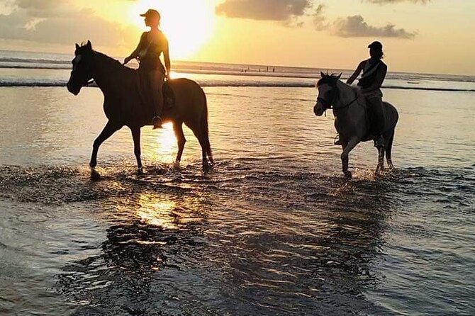 Private Bali Horse riding at saba beach - Horse Care Concerns: How to Stay Wise Without Overreacting