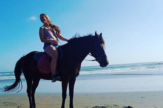 Private Bali Horse riding at saba beach - Who This Bali Horse Riding Experience Fits Best