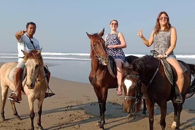 Private Bali Horse Riding In Seminyak Beach - Price and value: what $42.99 buys you in Seminyak