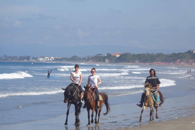 Private Bali Horse Riding In Seminyak Beach - Who should book this Bali horse ride in Seminyak