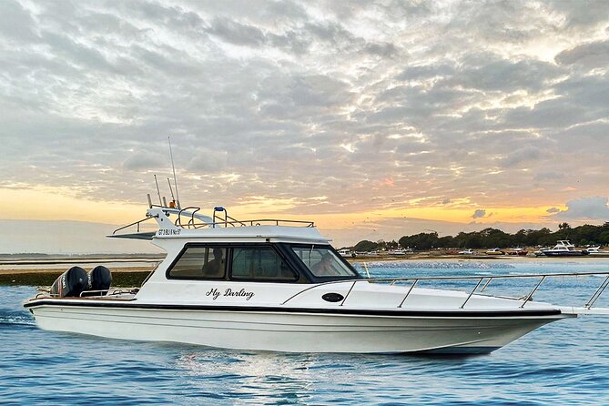 Private Boats in Bali and Nusa Penida - Booking smart: weather, timing, and expectations