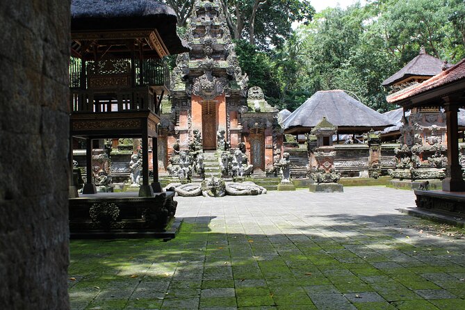 Private Customized Trip to Ubud - Aloha Ubud Swing: one big adrenaline block of time