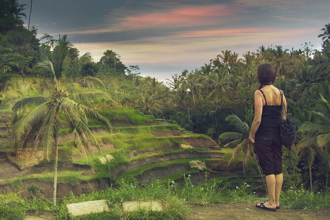 Private Customized Trip to Ubud - Pickup from Seminyak and south Bali, then straight into Ubud