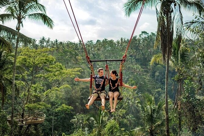 Private Day Tour In Ubud With Jungle Swing All Inclusive - Key highlights you’ll care about