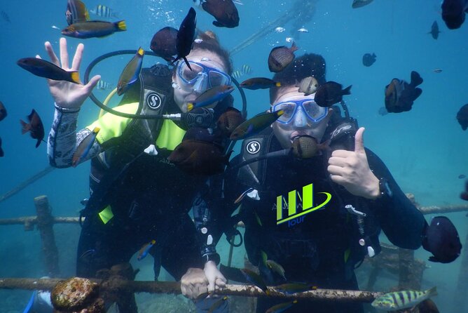 Private Diving Experience in Nusa Dua with Hotel Pick Up - Key points before you go