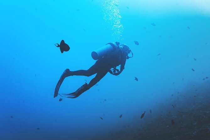 Private Diving Experience in Nusa Dua with Hotel Pick Up - The first water visit: Nusa Dua-area conditions for beginners