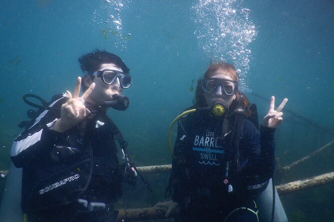 Private Diving Experience in Nusa Dua with Hotel Pick Up - Pickup, timing, and how your day should flow