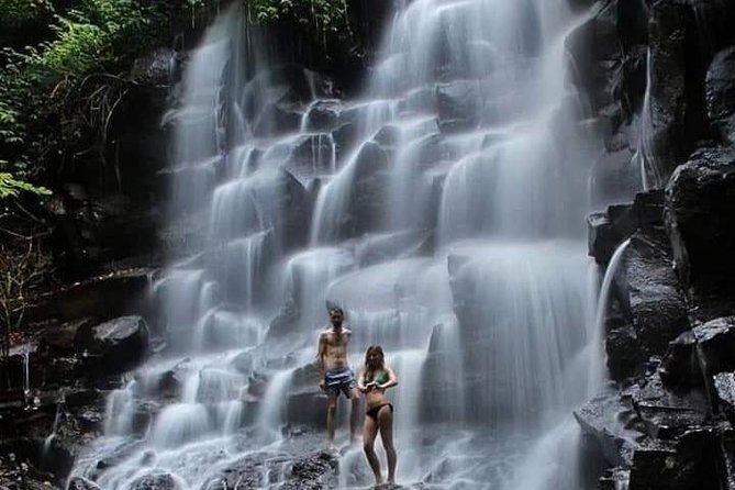 Private driver and tours - Crafting your Ubud itinerary: from rice terraces to waterfalls