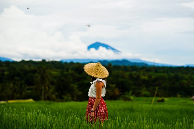 Private Full-Day Bali Tour - The driver matters: what strong guides add to the day