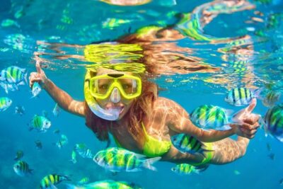 Private Full-Day Lovina Dolphin Watching and Snorkeling Boat Tour - Breakfast, Ulun Danu Bratan Temple, and the northern Bali culture stop