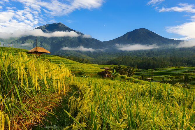 Private Full-Day Tour: Discover The Best of Bali Destination - Private Seminyak Full-Day: Why this beats self-driving