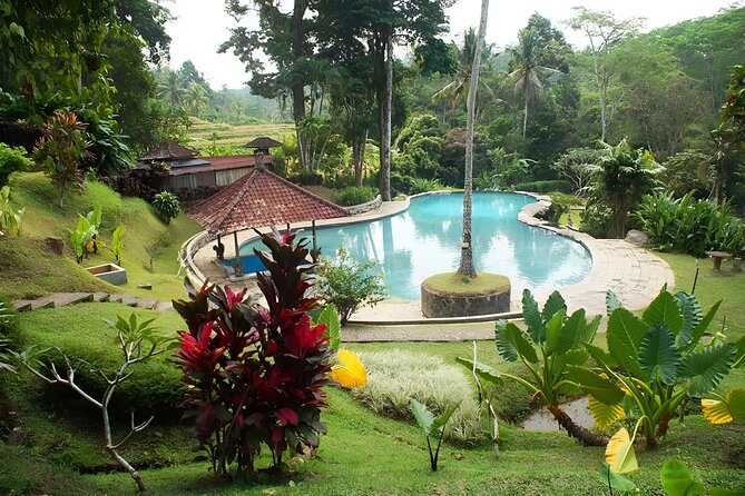 Private Full-Day Tour: Discover The Best of Bali Destination - Jatiluwih rice terraces: drama, walking, and payoff