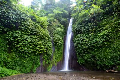 Private Full-Day Tour : North Bali Trip to Discover The Culture of Bali Island - Munduk Waterfall: hike time through clove and coffee country