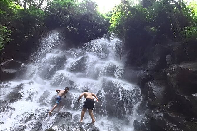 Private Full-Day Tour: The Beauty of Bali Waterfall Trip - Pickup, private vehicle comfort, and mobile tickets