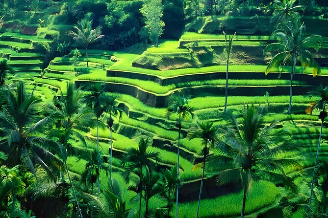 Private Full-Day Tour: Ubud and Uluwatu Temple Trip - Uluwatu Temple and Kecak Fire Dance: the big payoff moment