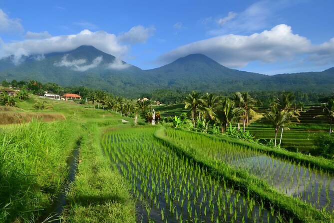 Private Full-Day Tour: Ulun Danu Beratan Temple, Jatiluwih and Tanah Lot Temple - Ulun Danu Beratan at the lake: the photo stop that feels real