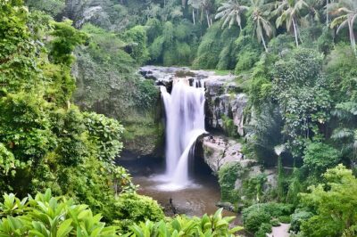 Private Half Day-Tour: Ubud Art Village Trip - Price and What You Get for $30