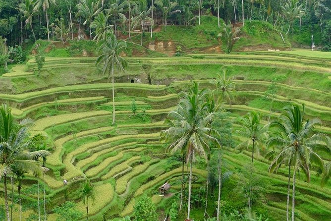 Private Inclusive Tours: 2 Days highlight of Bali - Seminyak Pickup, AC Comfort, and a Driver/Guide Who Can Handle Disruptions