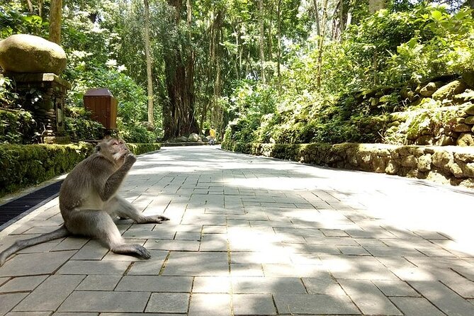Private Inclusive Tours: 2 Days highlight of Bali - Price and Value: What $120 Per Person Really Buys You