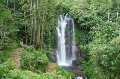 Private Munduk Waterfalls Trekking Tour - The 3-Hour Munduk Trek: Waterfalls, Rice Terraces, and Orchards