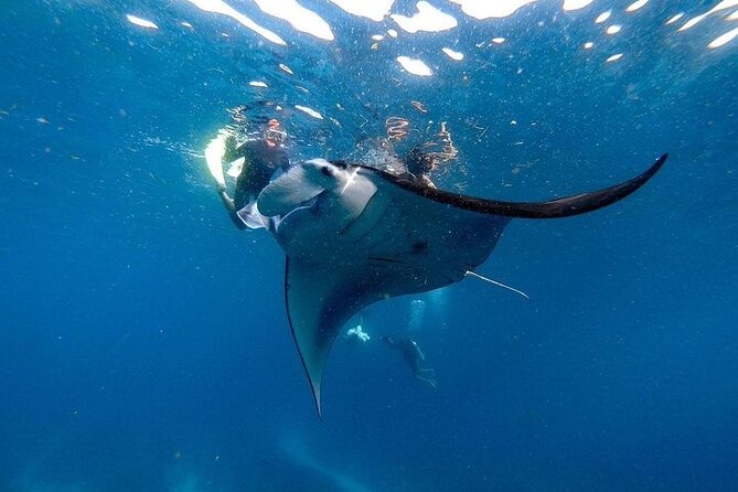 PRIVATE Nusa Penida on Boat Snorkeling & Island Tour (INCLUSIVE) - Key moments that make this tour tick