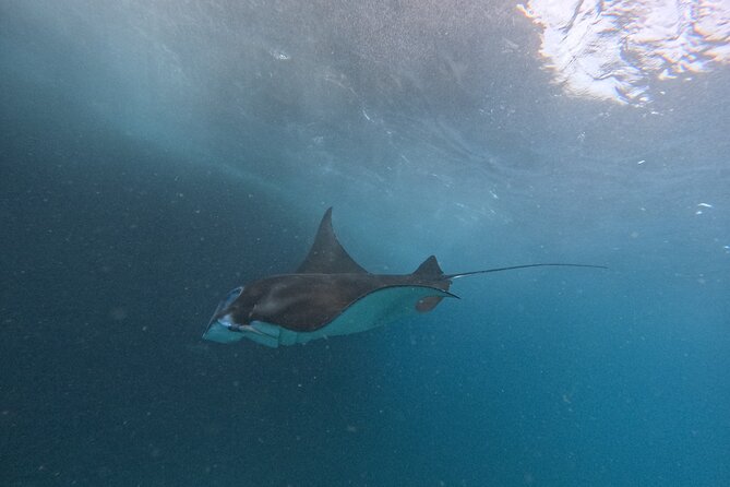 PRIVATE Nusa Penida on Boat Snorkeling & Island Tour (INCLUSIVE) - Weather, safety, and keeping expectations realistic