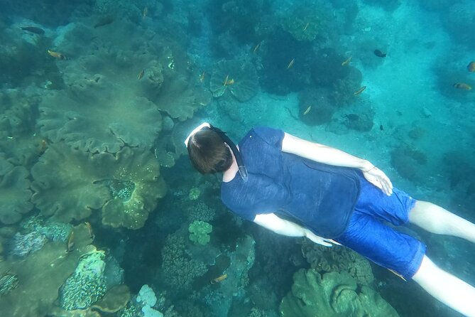 Private Nusa Penida Snorkeling Tour - Price and Value: Is $157.84 Per Person Worth It?