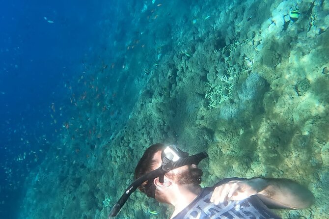 Private Nusa Penida Snorkeling Tour - Should You Book This Private Nusa Penida Snorkeling Tour?