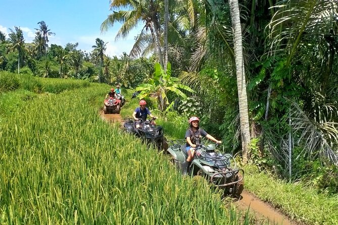 Private Quad Bike ATV with 2-hour Bali Massage and Spa - Solo Quad Bike ATV: Rice Fields, Mud, Caves, and Waterfalls