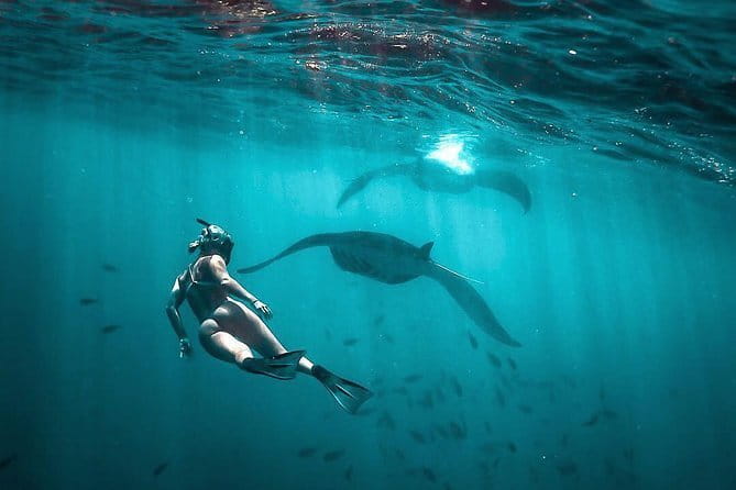 Private Sightseeing Northern East Bali All inclusive - The difference a good guide makes: Komang and Konang’s vibe