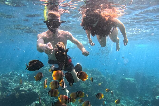 Private Snorkeling from Nusa Penida - Private Snorkeling from Nusa Penida: The big sites you’ll actually swim