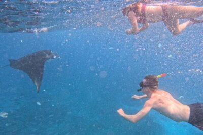 Private Snorkeling from Nusa Penida - 6:30 am pickup and Sanur harbour: why the timing is part of the value