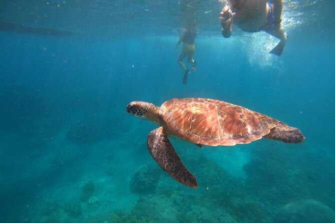 Private Snorkeling in Manta Bay, Gamat Bay & Wall at Nusa Penida - Key highlights you’ll actually feel