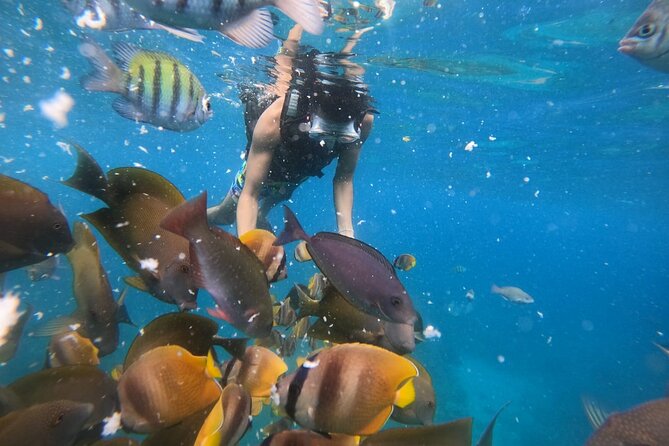 Private Snorkeling in Manta Bay, Gamat Bay & Wall at Nusa Penida - Getting to Nusa Penida without making your day complicated