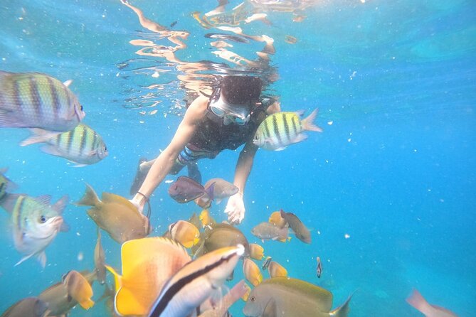 Private Snorkeling in Manta Bay, Gamat Bay & Wall at Nusa Penida - Manta Bay: the headline spot (and why you should plan for luck)