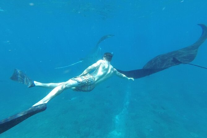 Private Snorkeling in Manta Bay, Gamat Bay & Wall at Nusa Penida - Gamat Bay: more fish time and a nursery vibe