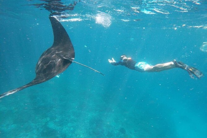 Private Snorkeling in Manta Bay, Gamat Bay & Wall at Nusa Penida - Wall Point / Crystal Bay area: shoreline action and calmer spotting