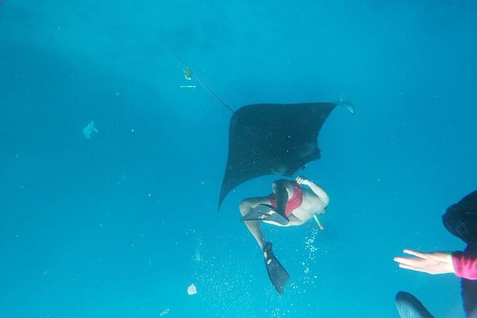 Private Snorkeling in Manta Bay, Gamat Bay & Wall at Nusa Penida - Timing: why 6 hours total feels right