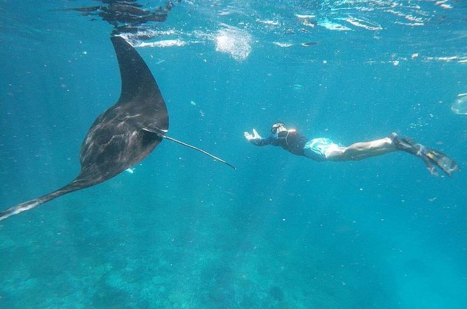 Private Snorkeling in Manta Bay, Gamat Bay & Wall at Nusa Penida - Lunch at the harbor: the underrated part of value