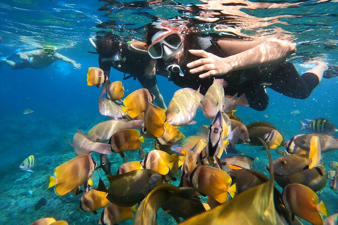 Private Snorkeling in Manta Bay, Gamat Bay & Wall at Nusa Penida - The private boat setup: what it means for your comfort and results