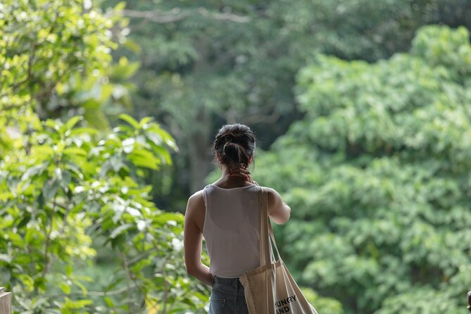 Private Tour : Bali Best Waterfalls, Temples and Monkey Forest - Ubud lunch break: recharge time (and you choose the food)