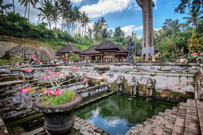 Private Tour : Bali Best Waterfalls, Temples and Monkey Forest - Price and what you actually get for $55