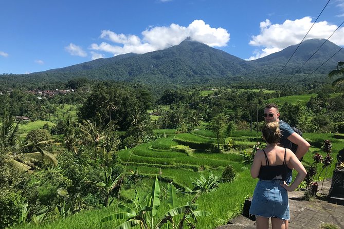 Private Tour: Bali Temple and Countryside Tour - A north-Bali day that feels like four different worlds