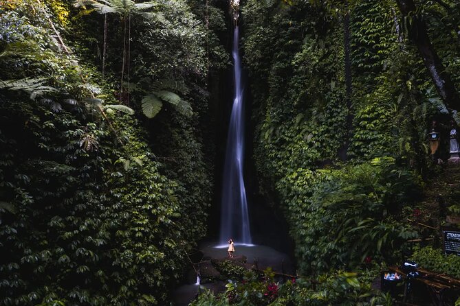 Private Tour: Bali Temples, Hidden Waterfall and Handara Gate - Leke Leke waterfall: the walk down matters more than the photos