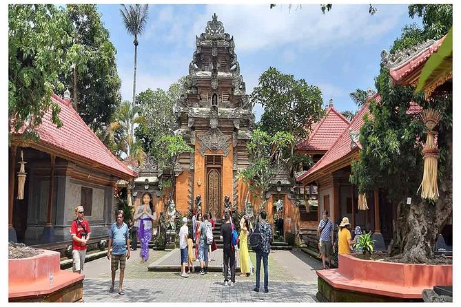 Private Tour: Batuan Temple, Tegenungan Waterfall, Elepahant Cave Free transport - Tegalalang Rice Terrace: the classic view stop with time to actually see it