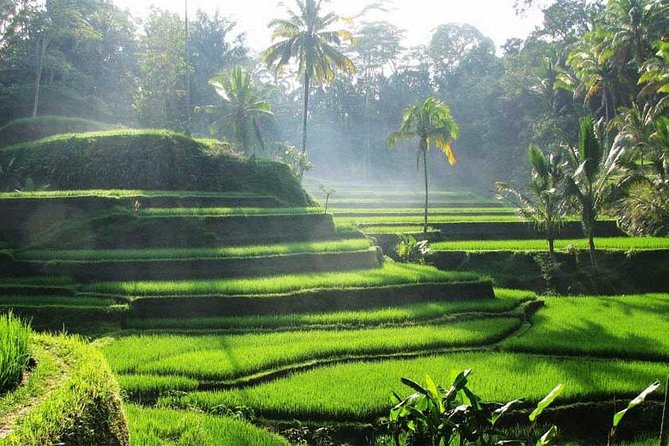 Private Tour: Batuan Temple, Tegenungan Waterfall, Elepahant Cave Free transport - Who should book this tour (and who might not)